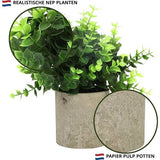 Belle Vous 4 Pak Artificiële Binnen Potplanten - Kleine Nep Plastic Eucalyptus, Slangen Tong Gras & Vetplanten - Faux Groen voor Kantoor, Bureau/Tafel, Slaapkamer, Keuken, Huisdecoratie