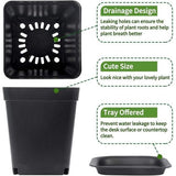 24 stuks vierkante bloempot, 7 cm plastic bloempotten, succulente plantenbakken met palet voor binnen- en buitendecoratie, plantenpot met schotel (zwart)