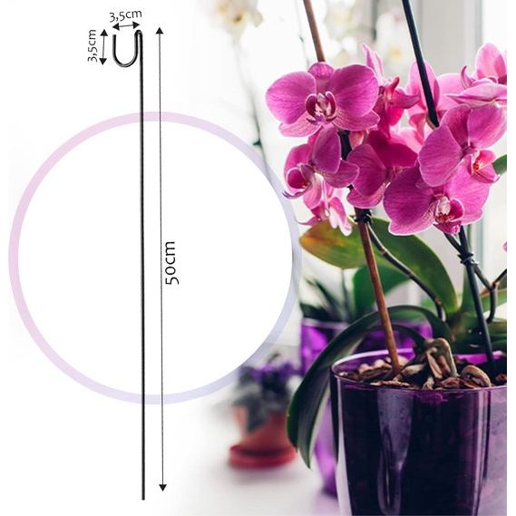 KADAX - Bloemensteun, 10 stuks, plantensteun van staal, hoogte: 50 cm - decoratieve steunstaven voor orchideeën, bloemen, planten, kamerplanten, bloempot, klimhulp, klimstaven - Recht