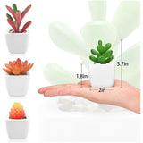 Kunstmatige Vetplanten Mini Planten Kleine Potten in Keramische Potten Home Keuken Bureau Bureau Plank Decoratie Set van 4 (Groen en Rood Witte Keramische Potten)