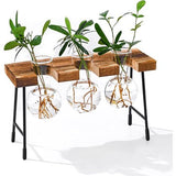 Hydrocultuur glazen vaas hangvaas bloemenvaas tafelvaas luchtplanten terrarium bureau decoratieve vaas met houten houder glazen plant voor kantoor huis tuin decoratie (3 vazen)