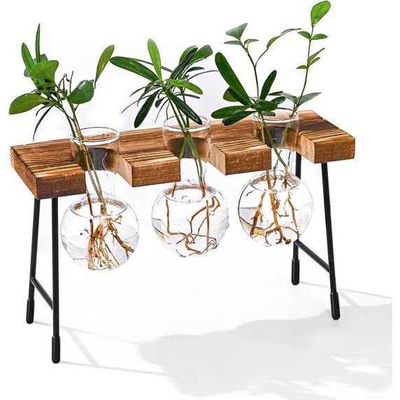 glazen vaas hangvaas bloemenvaas tafelvaas luchtplanten terrarium bureau decoratieve vaas met houten houder glazen plant voor kantoor huis tuin decoratie (3 vazen)