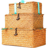 Opbergbox van zeegras, bastmand met deksel, opbergmanden plankmanden, rieten mand, wasmanden, make-up-organizer, keuken, woonkamer, bureau-opslag, natuurlijk materiaal, rotan mand