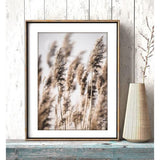 Moderne posterset – foto's woonkamer decoratie slaapkamer – Pampas Wild Reeds Beach Rose Beige fotowand zonder lijst (4 x A4 | 2 x A5) W16