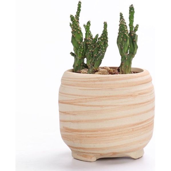 7,6 cm keramiek houtpatroon succulente pot cactus bloempot container plantenbak cadeau-idee set van 6