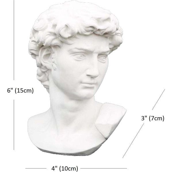 David Head, gedeeltelijke replica van het volledige standbeeld van Michelangelo's David