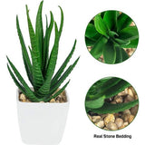 6 stuks Kunstplanten voor Buiten, Kunstplanten, Badkamer, Kunstplanten in pot, Kunstvetplanten, Tafeldecoratie, Huis, Balkon, Kantoor, Decoratie, Herbruikbaar (groen)