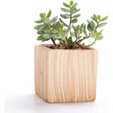 7,6 cm keramiek houtpatroon succulente pot cactus bloempot container plantenbak cadeau-idee set van 6