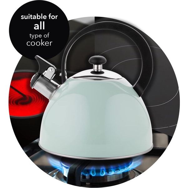 Brilloi Kettle (2 Litres) Stainless Steel Tea Kettle Whistling Kettle with Bakelite Handle I Scratch-Resistant I Kettle for Induction Hobs, Gas Hobs and Electric Hobs I Colour: Mint