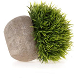 Kunstmatige planten, kunstgras, bonsai, kunstbloemen, decoratie, kunststof heesters, bloemenarrangementen voor thuis en op kantoor, , desktop-bonsai., klein