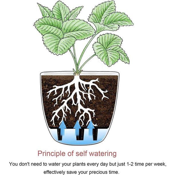 Bloempot, zelfwaterende bloempot, set van 10 stuks, klein, ideaal voor binnen en buiten, bloempot voor orchideeën, basilicum en kruiden, zelfbewaterende pot, zwart