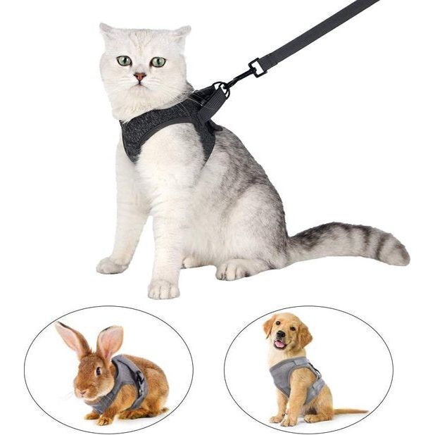 Cat Harness and Leash, Ultra-Light, Escape-Proof, Adjustable, Soft Mesh Fabric, Padded, Running Vest, Jacket for Kittens, Pets, Puppies, m, grey