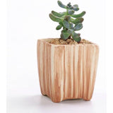 7,6 cm keramiek houtpatroon succulente pot cactus bloempot container plantenbak cadeau-idee set van 6