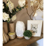 Pakket van 4 kunstplanten, mini-kunstplanten, plastic kunstplanten voor slaapkamer, badkamer, keuken, huis, interieurdecoratie