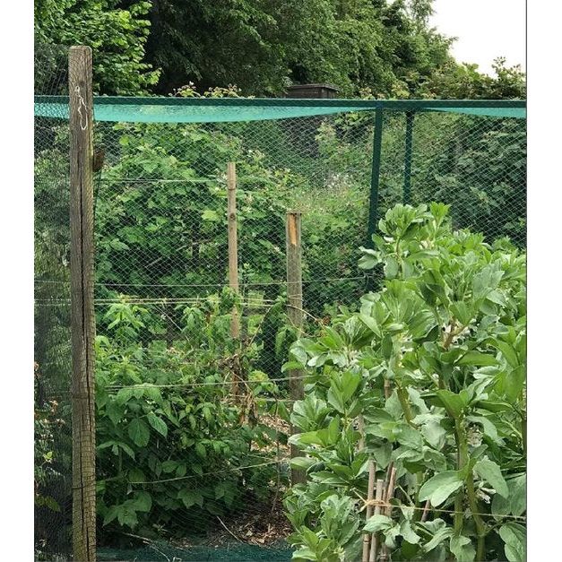 Vogelbeschermingsnet, vogelnet, vijvernet, tuinnet, zwembadnet voor tuin, balkon of vijver, kersenboom, robuust, uv-bestendig, maaswijdte 17 mm