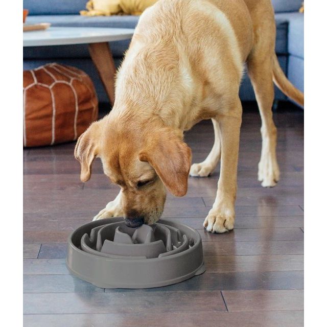 Outward Hound Fun Feeder - Anti Schrok Hondenvoerbak - 6 kleuren en 3 maten - door Dierenartsen aanbevolen Slow Bowl - Large/Regular - Grijs