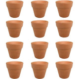 12 stuks terracotta vetplantenpotten, kleipotten, herbruikbare terracotta bloempotten, voor binnen en buiten, planten, handwerk, bruiloft (3 x 3 cm)