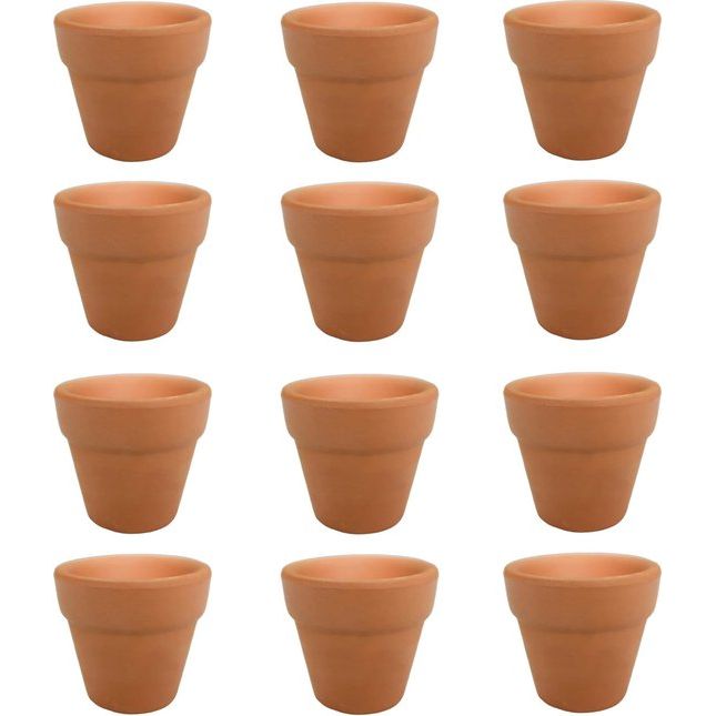 12 stuks terracotta vetplantenpotten, kleipotten, herbruikbare terracotta bloempotten, voor binnen en buiten, planten, handwerk, bruiloft (3 x 3 cm)