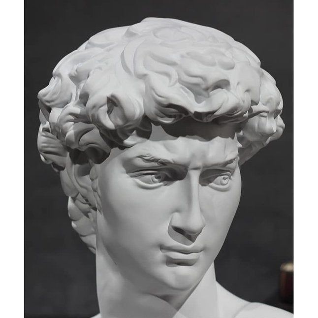 David Head, gedeeltelijke replica van het volledige standbeeld van Michelangelo's David