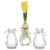 Glazen vazen voor bloemen met zijden touw, 3 stuks moderne hyacinten vazen, Bud Avocado vaas, edelwikkvaas voor hydrocultuur planten, narcissen en orchideeën voor op het bureau, de vensterbank of binnenshuis.