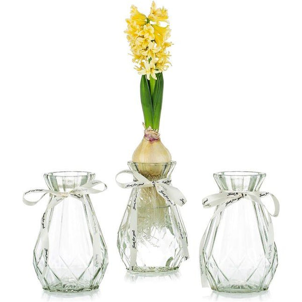 Glazen vazen voor bloemen met zijden touw, 3 stuks moderne hyacinten vazen, Bud Avocado vaas, edelwikkvaas voor hydrocultuur planten, narcissen en orchideeën voor op het bureau, de vensterbank of binnenshuis.