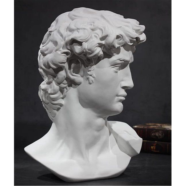 David Head, gedeeltelijke replica van het volledige standbeeld van Michelangelo's David