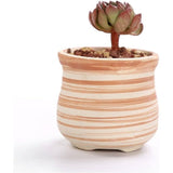 7,6 cm keramiek houtpatroon succulente pot cactus bloempot container plantenbak cadeau-idee set van 6