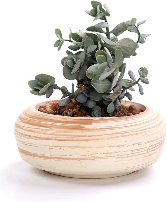 7,6 cm keramiek houtpatroon succulente pot cactus bloempot container plantenbak cadeau-idee set van 6