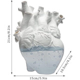 Hartvaas, witte anatomische bloempot, decoratie voor woonkamer en slaapkamer, decoratieve vaas (waterdicht) Hartvaas, witte anatomische bloempot, decoratie voor woonkamer en slaapkamer, decoratieve vaas (waterdicht)