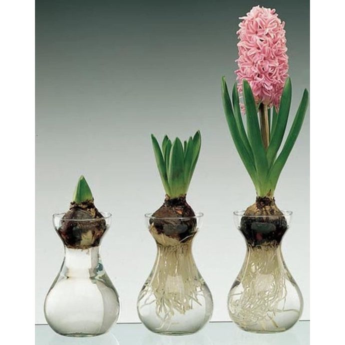 Vaas, Decoratieve kleine glazen vazen