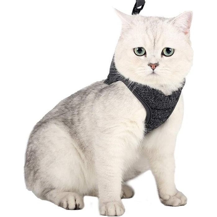 Cat Harness and Leash, Ultra-Light, Escape-Proof, Adjustable, Soft Mesh Fabric, Padded, Running Vest, Jacket for Kittens, Pets, Puppies, m, grey