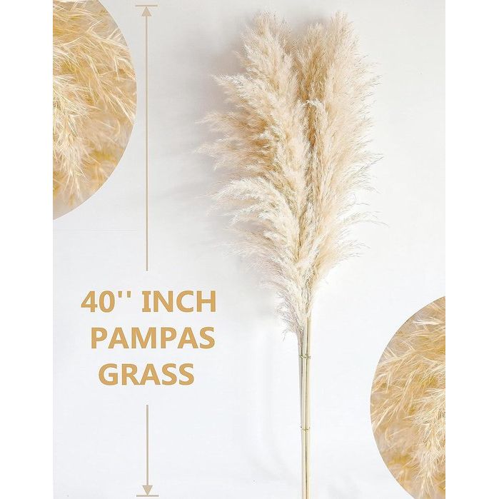 10 stuks Pampasgras Groot, Pampasgras XXL, Pampasgras Decoratie Groot voor Boho Decoratie Woonkamer Tafel Slaapkamer Bruiloft Badkamer (100 cm)