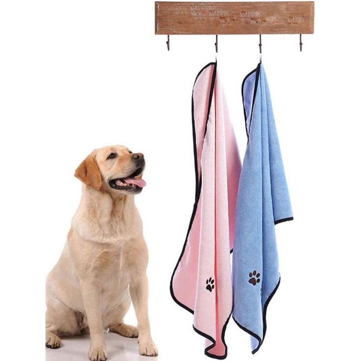 Badhanddoek voor huisdieren, 2 stuks, sneldrogende handdoek voor honden, heel zacht en comfortabel, absorberende handdoeken voor hond en kat, ideaal voor kleine en middelgrote dieren
