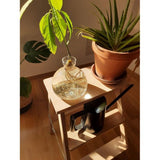 Kweekpot voor avocado's, kastanjes, eikels | Hoge kwaliteit kiemglas, speciaal tuincadeau, kweekset voor zaden, zaden, ziektekiemen