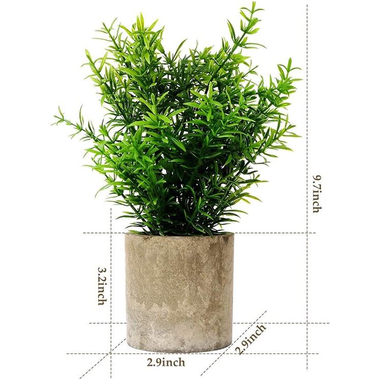 Set van 3 Groen Assortiment Shamrock Buxus en Rozemarijn Planten Plastic in Papieren Potten voor Thuiskantoor Tuin