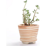 7,6 cm keramiek houtpatroon succulente pot cactus bloempot container plantenbak cadeau-idee set van 6