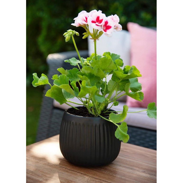 Bloempotafdekking Effen bloempotafdekking Decoratieve pot voor planten voor binnengebruik Gemaakt van keramiek, modern en tijdloos design, vele kleuren, vele maten, 16 cm, zwart