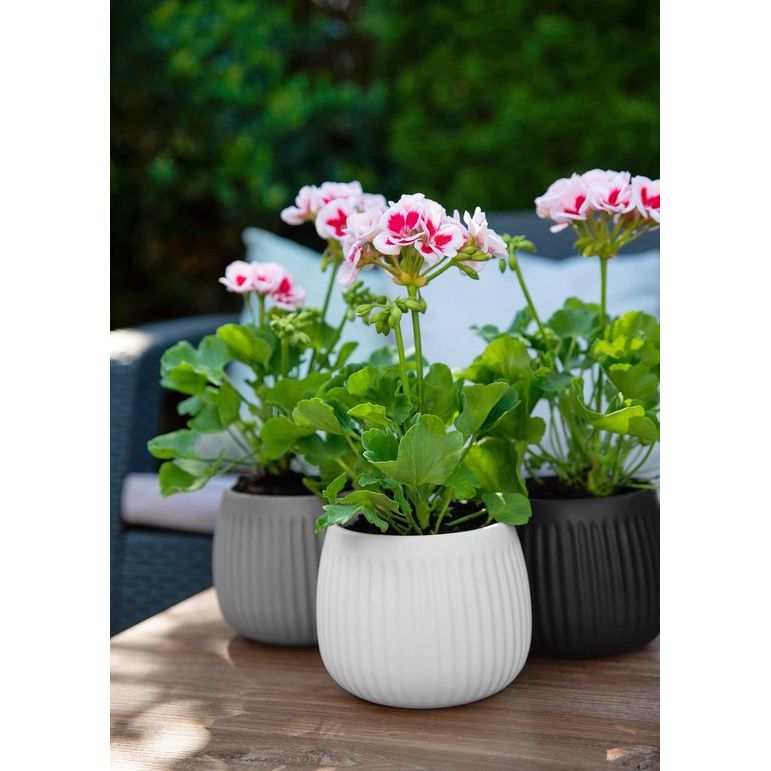 Bloempotafdekking Effen bloempotafdekking Decoratieve pot voor planten voor binnengebruik Gemaakt van keramiek, modern en tijdloos design, vele kleuren, vele maten, 16 cm, zwart