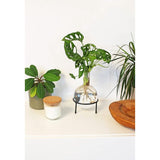 Hydrovaas Flora 1,5 l | bloemenvaas met metalen standaard | tafelplanter | moderne decoratie | glazen propagatiestation