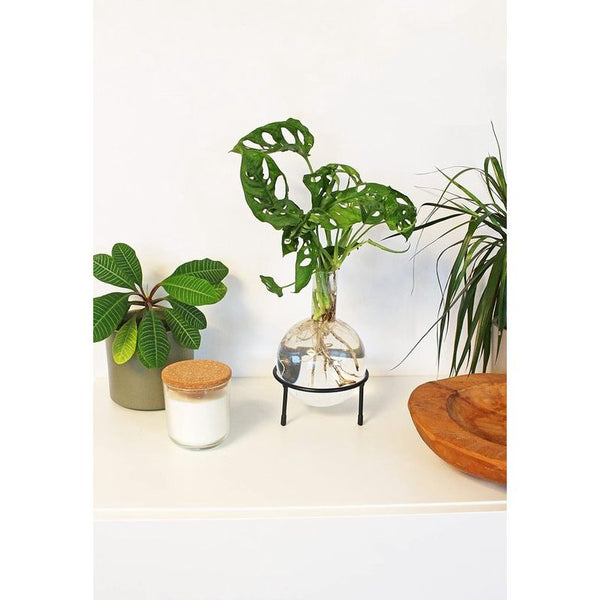 Hydrovaas Flora 1,5 l | bloemenvaas met metalen standaard | tafelplanter | moderne decoratie | glazen propagatiestation