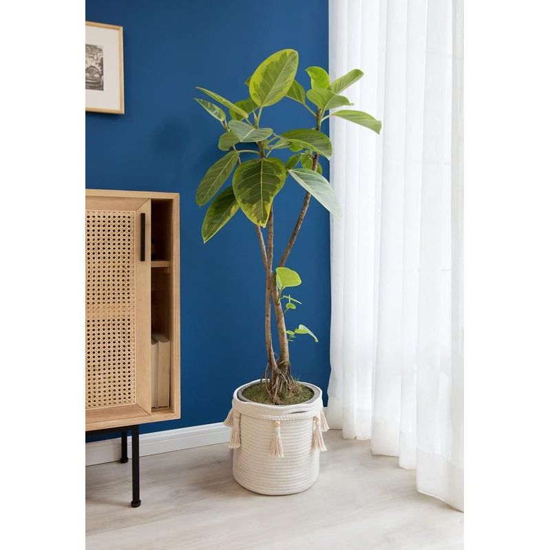 Decoratieve katoenen touwmand van macramé, boho, geweven kwastjes, opbergdoos, organizer voor kinderkamer, speelgoed, woonkamer, slaapkamer