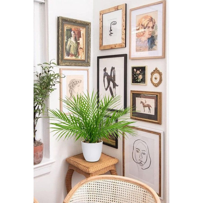 Kunstplanten voor gebruik binnenshuis: deze schattige kleine kunstplanten van palmbomen