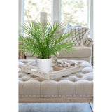 Kunstplanten voor gebruik binnenshuis: deze schattige kleine kunstplanten van palmbomen