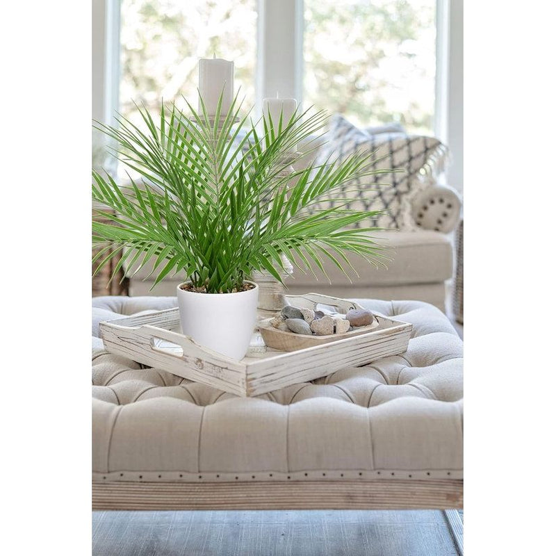 Kunstplanten voor gebruik binnenshuis: deze schattige kleine kunstplanten van palmbomen