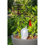 Waterreservoir XL, Champagne Pearl 620 ml, hoogte 29 cm