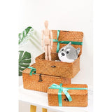 Opbergbox van zeegras, bastmand met deksel, opbergmanden plankmanden, rieten mand, wasmanden, make-up-organizer, keuken, woonkamer, bureau-opslag, natuurlijk materiaal, rotan mand