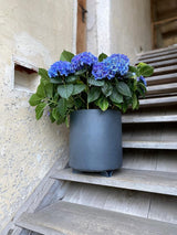 Set van 4 bloempotonderzetters - kleur: zwart - rond - 27 cm diameter - bloempot onderzetter - gerecycled materiaal