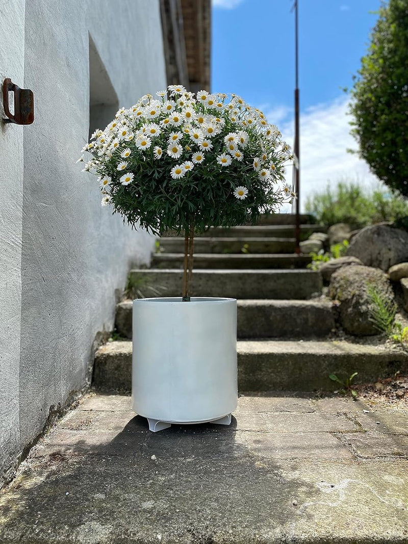 Set van 4 bloempotonderzetters - kleur: zwart - rond - 27 cm diameter - bloempot onderzetter - gerecycled materiaal