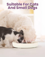 Anti-schrokbak voor katten en kleine honden, antislip, langzaam eten hond met hoge rand tegen uitvallen (16 x 16 cm, wit)