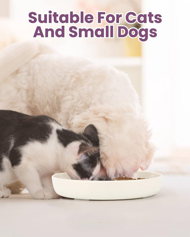 Anti-schrokbak voor katten en kleine honden, antislip, langzaam eten hond met hoge rand tegen uitvallen (16 x 16 cm, wit)